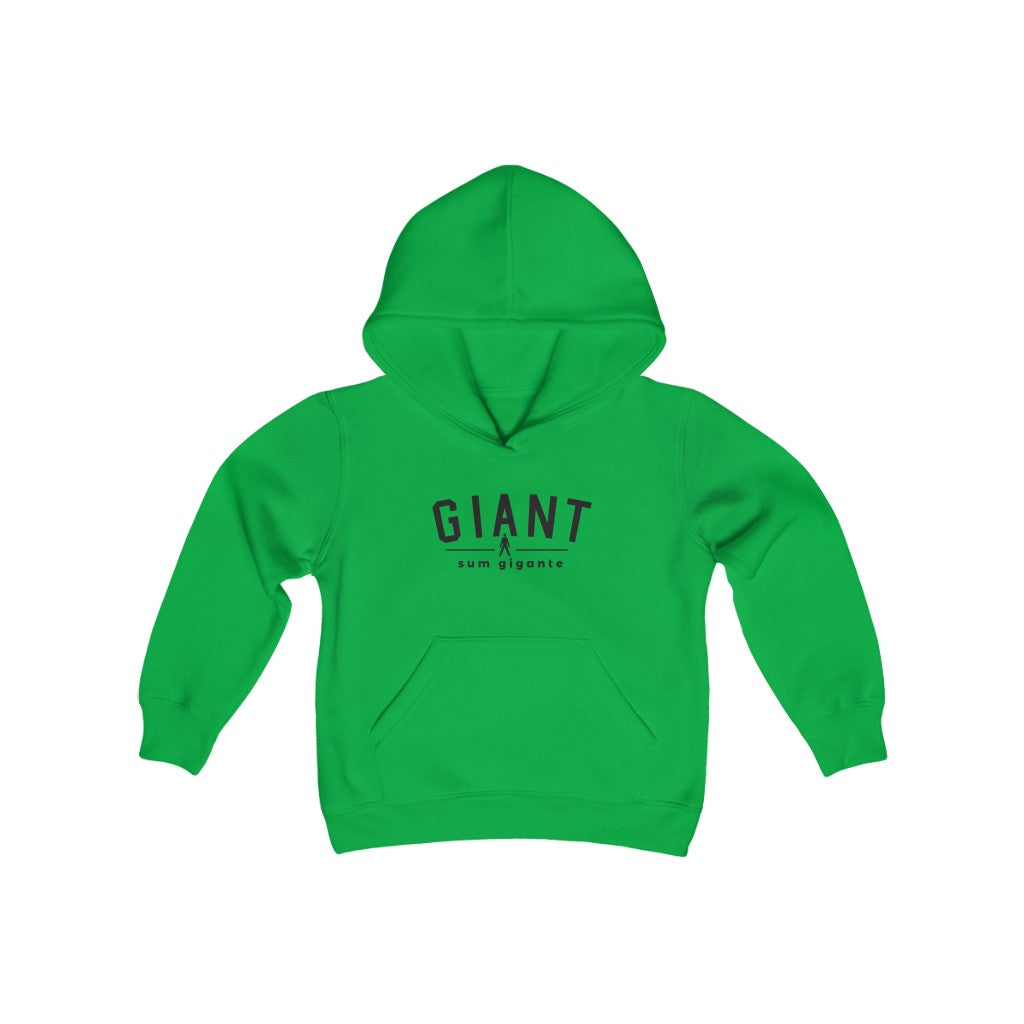 Sum Gigante Youth Heavy Blend Hooded Sweatshirt Dark